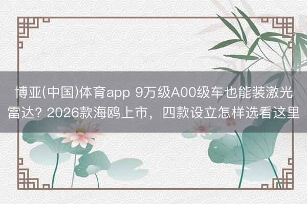博亚(中国)体育app 9万级A00级车也能装激光雷达? 2026款海鸥上市，四款设立怎样选看这里