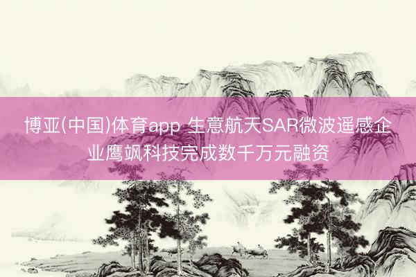 博亚(中国)体育app 生意航天SAR微波遥感企业鹰飒科技完成数千万元融资