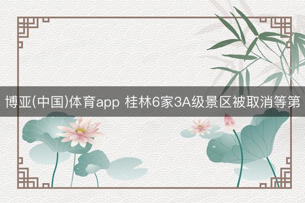 博亚(中国)体育app 桂林6家3A级景区被取消等第