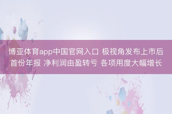 博亚体育app中国官网入口 极视角发布上市后首份年报 净利润由盈转亏 各项用度大幅增长
