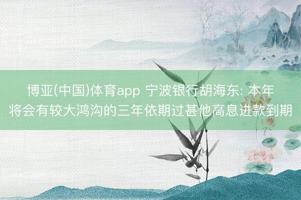 博亚(中国)体育app 宁波银行胡海东: 本年将会有较大鸿沟的三年依期过甚他高息进款到期