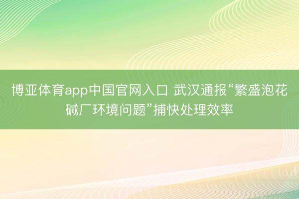 博亚体育app中国官网入口 武汉通报“繁盛泡花碱厂环境问题”捕快处理效率